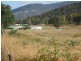 1250 Collins Cap Road, Molesworth TAS 7140