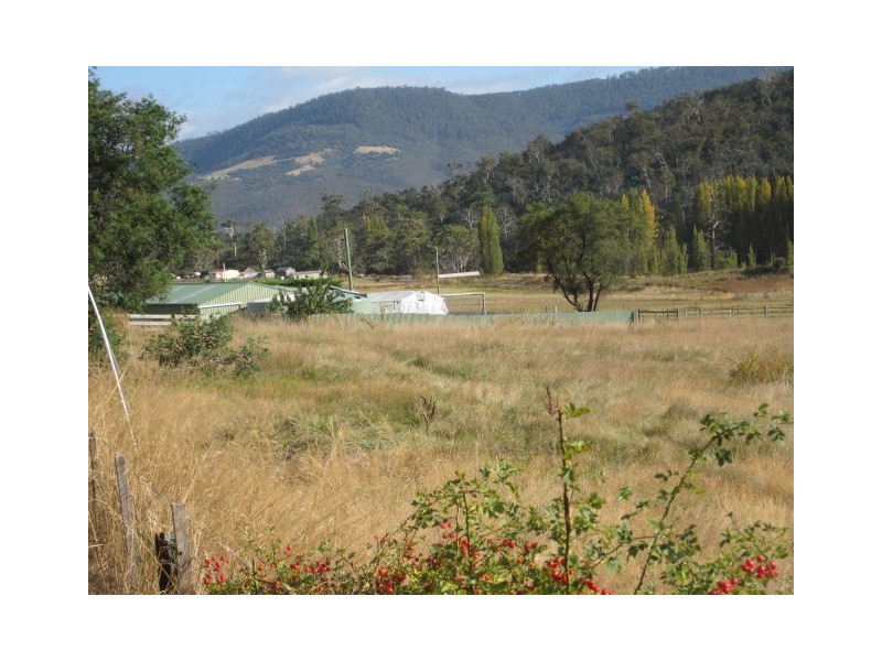 1250 Collins Cap Road, Molesworth TAS 7140