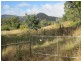 Lot 2, 1250  Collins Cap Road, Molesworth TAS 7140