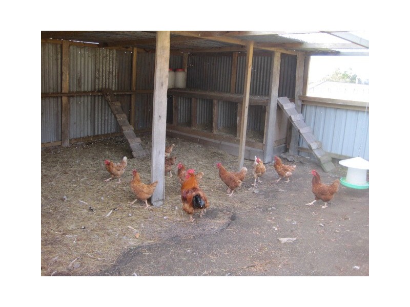 120 Jefferys Track, Lachlan TAS 7140