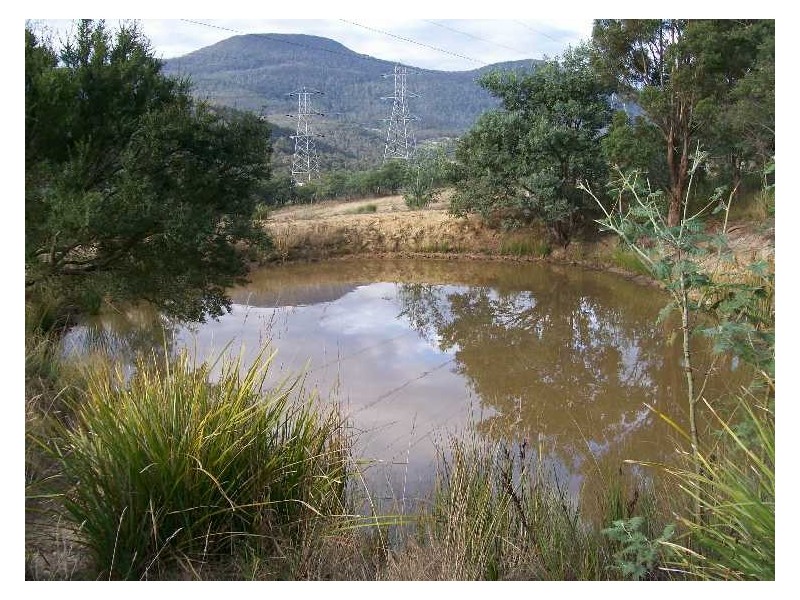 Molesworth TAS 7140