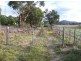 Molesworth TAS 7140