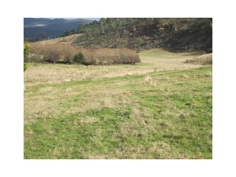 53 Black Hills Road, Magra TAS 7140
