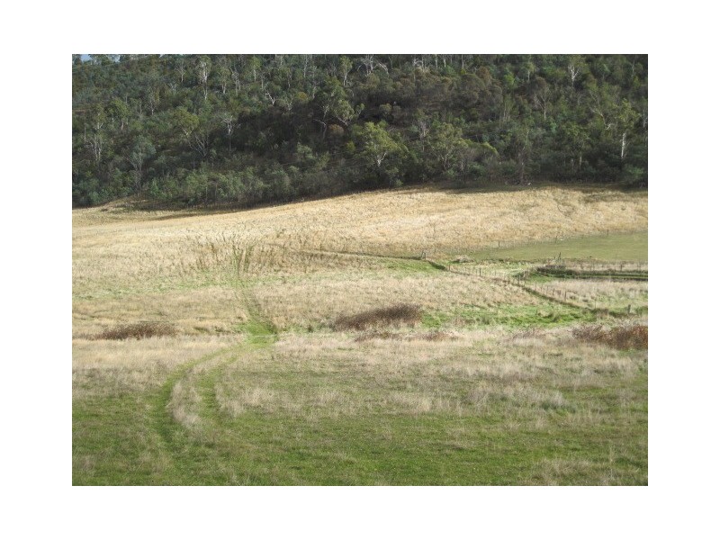 53 Black Hills Road, Magra TAS 7140