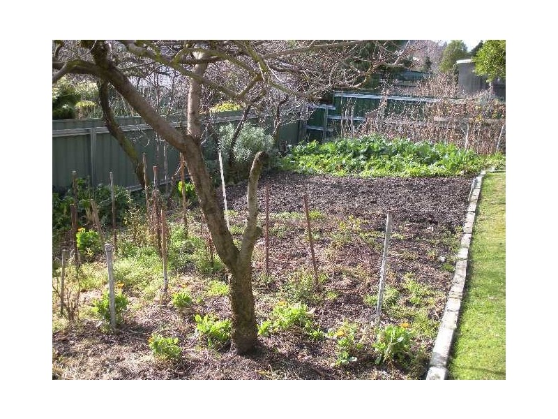 New Norfolk TAS 7140