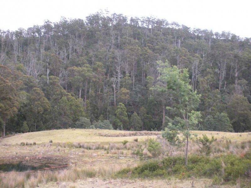 Lot 3 Richardsons Road, Black Hills TAS 7140