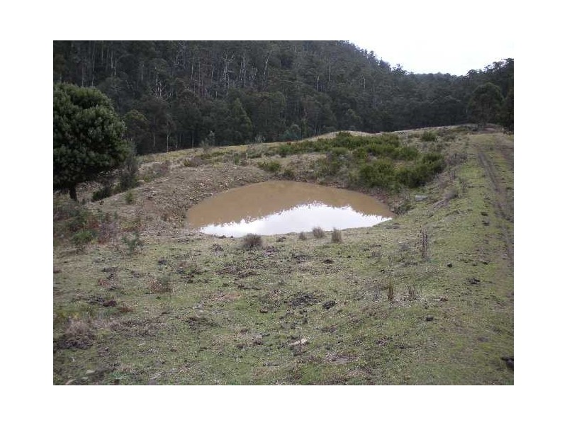 Lot 3 Richardsons Road, Black Hills TAS 7140