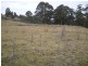 Lot 3 Richardsons Road, Black Hills TAS 7140