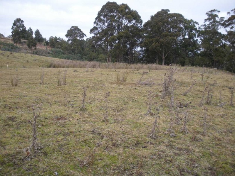 Lot 3 Richardsons Road, Black Hills TAS 7140