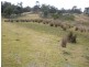 Lot 3 Richardsons Road, Black Hills TAS 7140