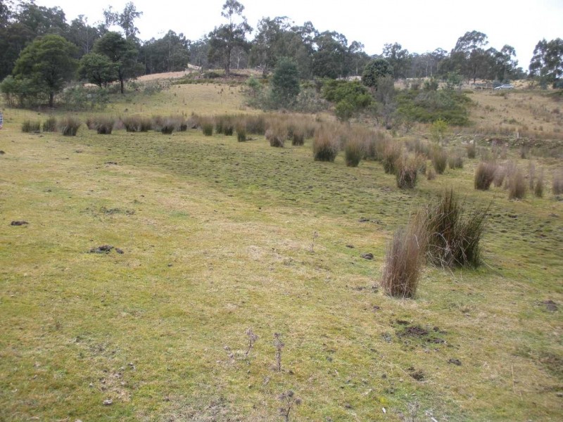 Lot 3 Richardsons Road, Black Hills TAS 7140