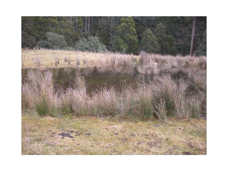 Lot 3 Richardsons Road, Black Hills TAS 7140