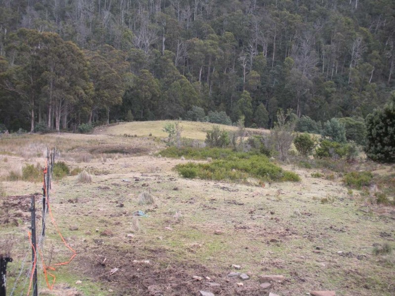 Lot 3 Richardsons Road, Black Hills TAS 7140