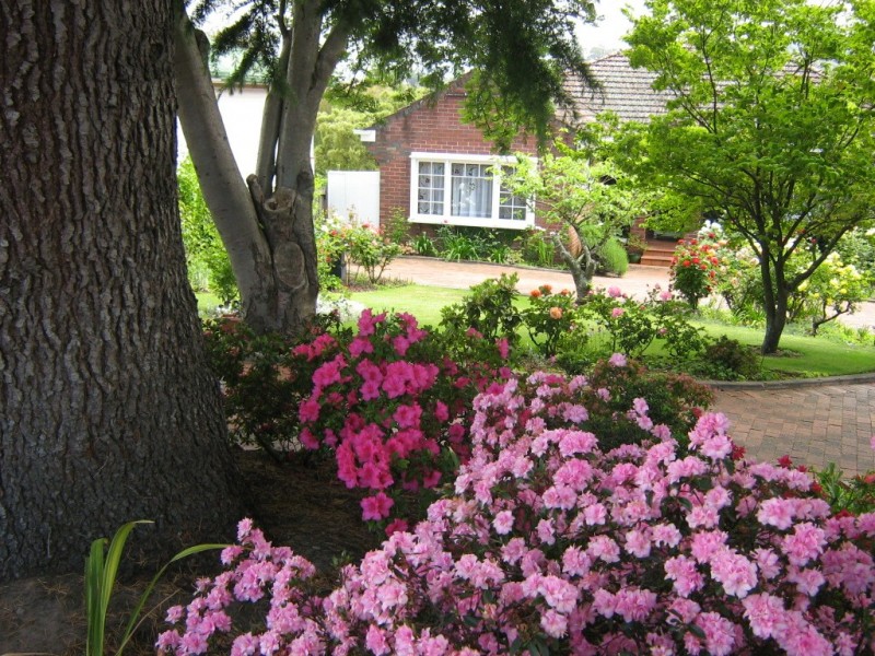 New Norfolk TAS 7140