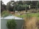 Lachlan TAS 7140