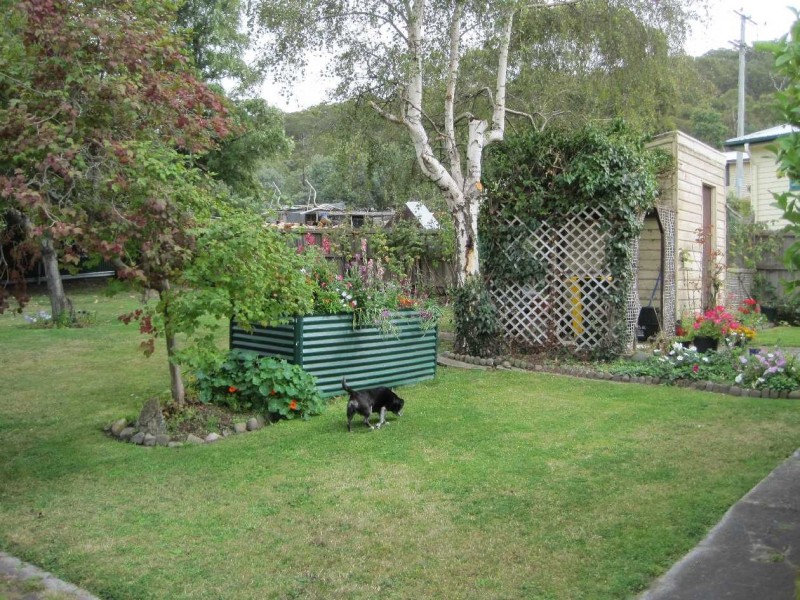 New Norfolk TAS 7140