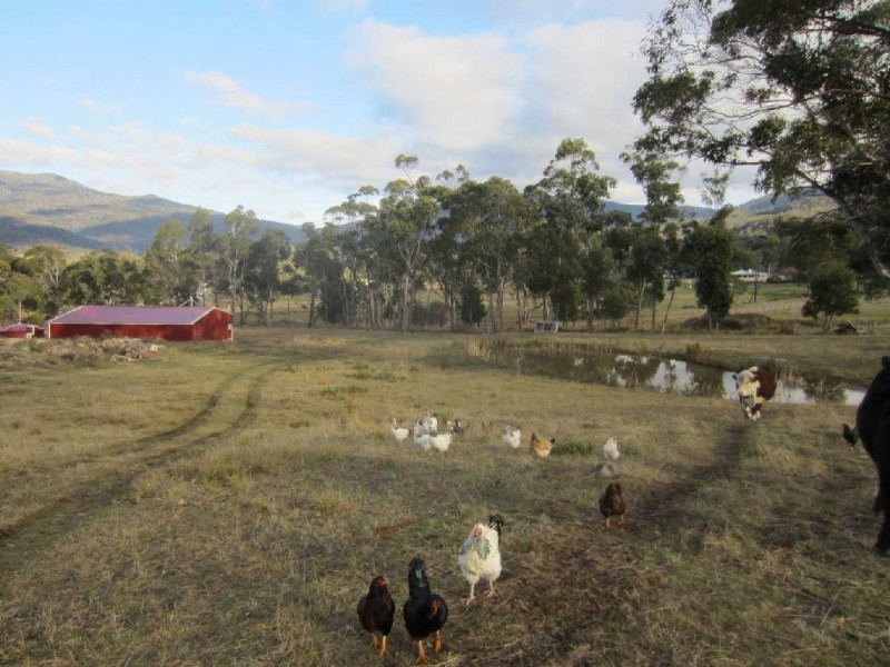 Lachlan TAS 7140