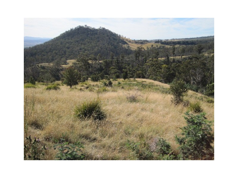Black Hills TAS 7140