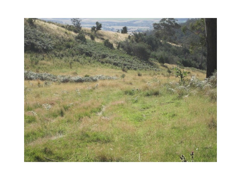 Black Hills TAS 7140