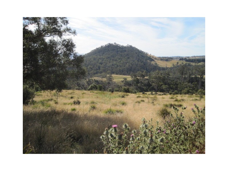 Black Hills TAS 7140