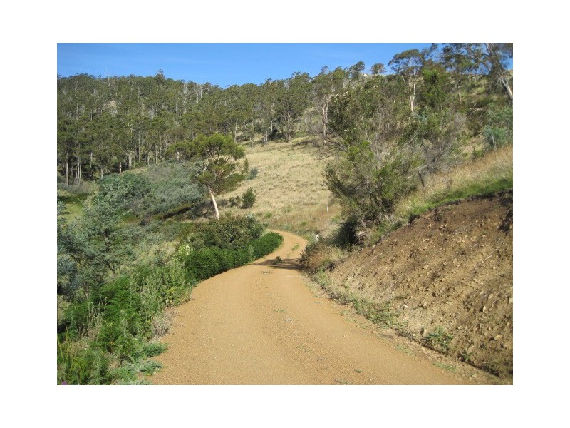 Black Hills TAS 7140