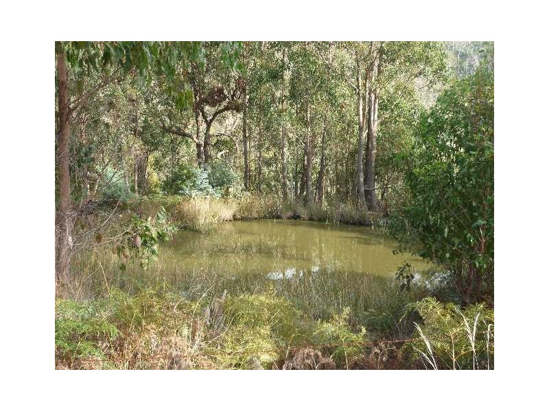 465 Glen Dhu Road, Molesworth TAS 7140