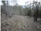 Molesworth TAS 7140