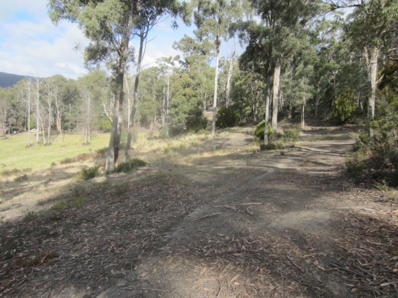 Lot 1 – 247 Lower Swamp Road, Lachlan TAS 7140