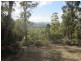 Lot 1 – 247 Lower Swamp Road, Lachlan TAS 7140