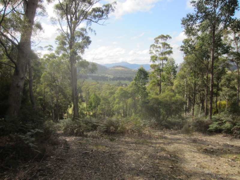 Lot 1 – 247 Lower Swamp Road, Lachlan TAS 7140