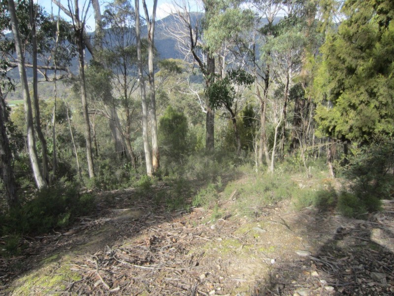 Lot 1 – 247 Lower Swamp Road, Lachlan TAS 7140