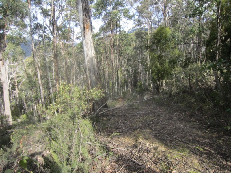 Lot 1 – 247 Lower Swamp Road, Lachlan TAS 7140