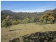 Molesworth TAS 7140