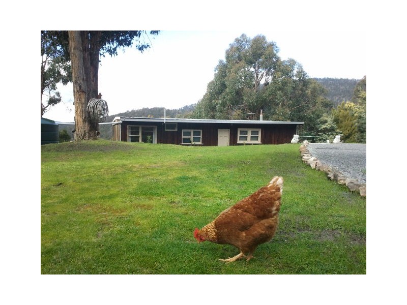 61 Mount Lloyd Road, Mount Lloyd TAS 7140