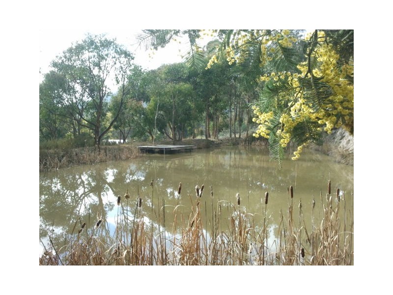 61 Mount Lloyd Road, Mount Lloyd TAS 7140