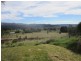 New Norfolk TAS 7140