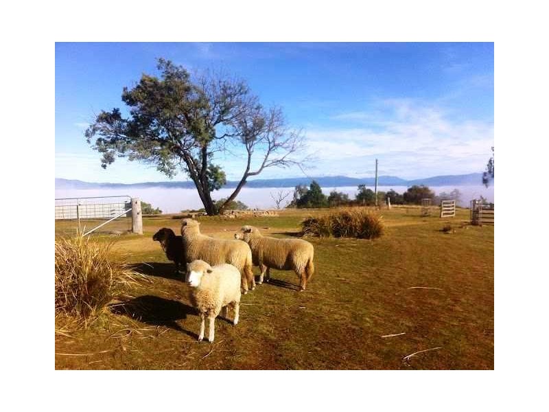 50 Parsons Road, Gretna TAS 7140