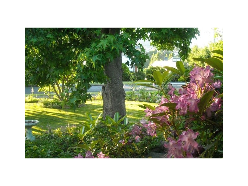 74 Derwent Terrace, New Norfolk TAS 7140