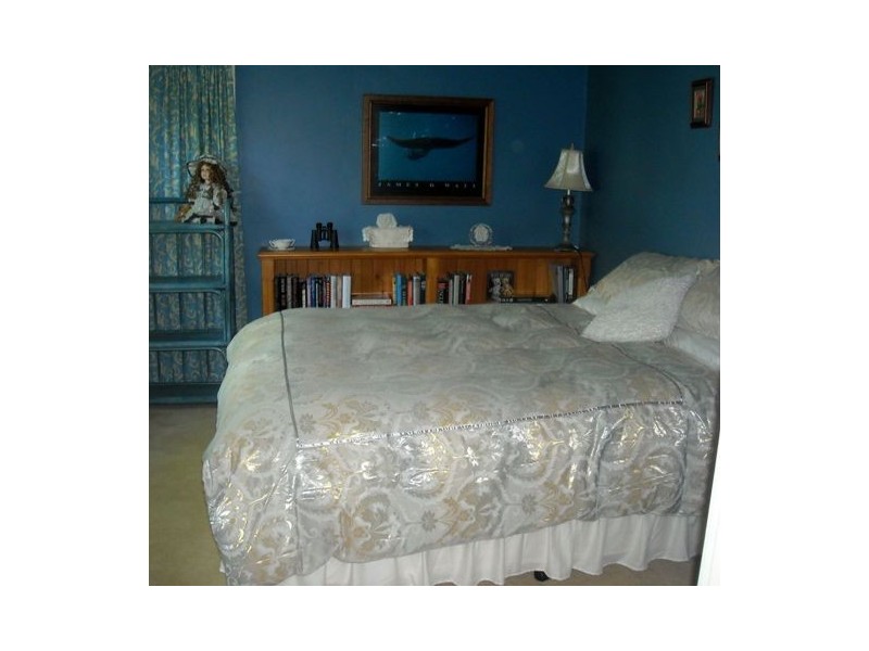 74 Derwent Terrace, New Norfolk TAS 7140