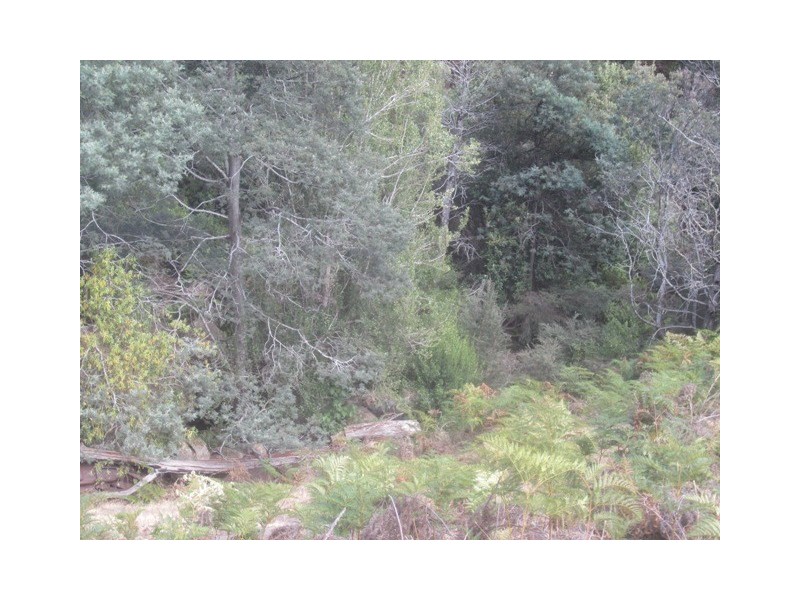 480 Glen Dhu Road, Molesworth TAS 7140