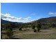 Molesworth TAS 7140