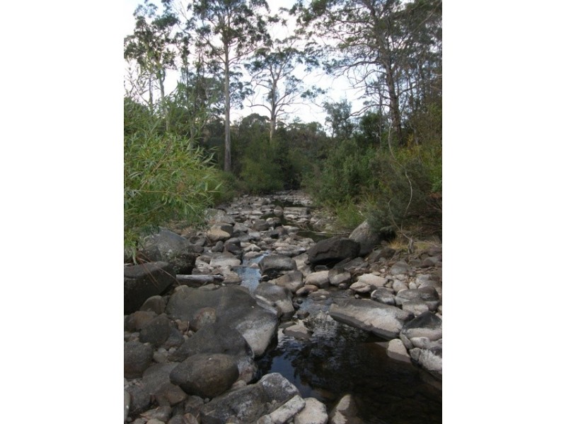 167 Molesworth Road, Molesworth TAS 7140