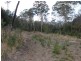 167 Molesworth Road, Molesworth TAS 7140
