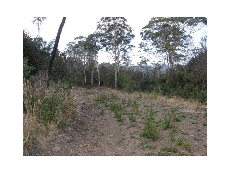 167 Molesworth Road, Molesworth TAS 7140
