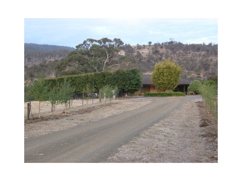 167 Molesworth Road, Molesworth TAS 7140
