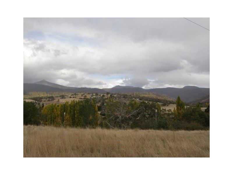 167 Molesworth Road, Molesworth TAS 7140