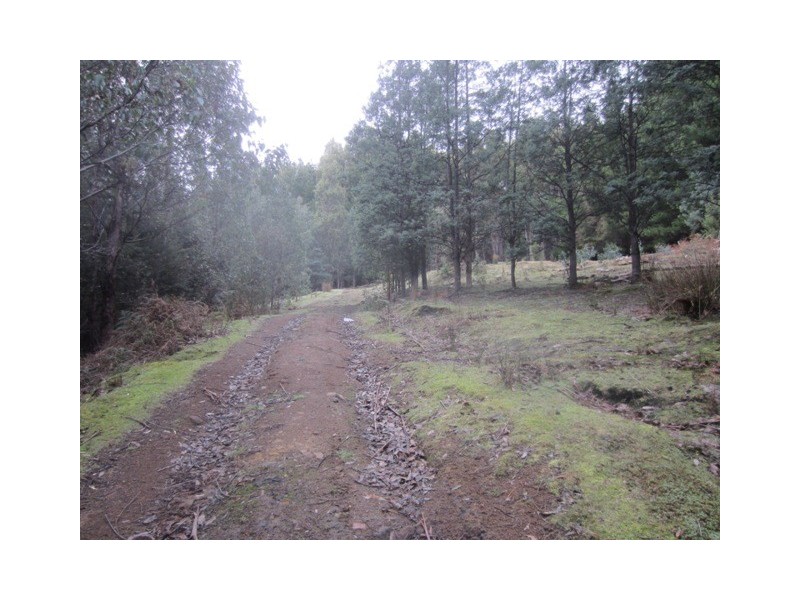 500 Jefferys Track, Lachlan TAS 7140