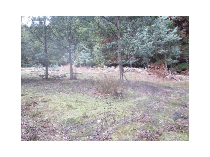 500 Jefferys Track, Lachlan TAS 7140