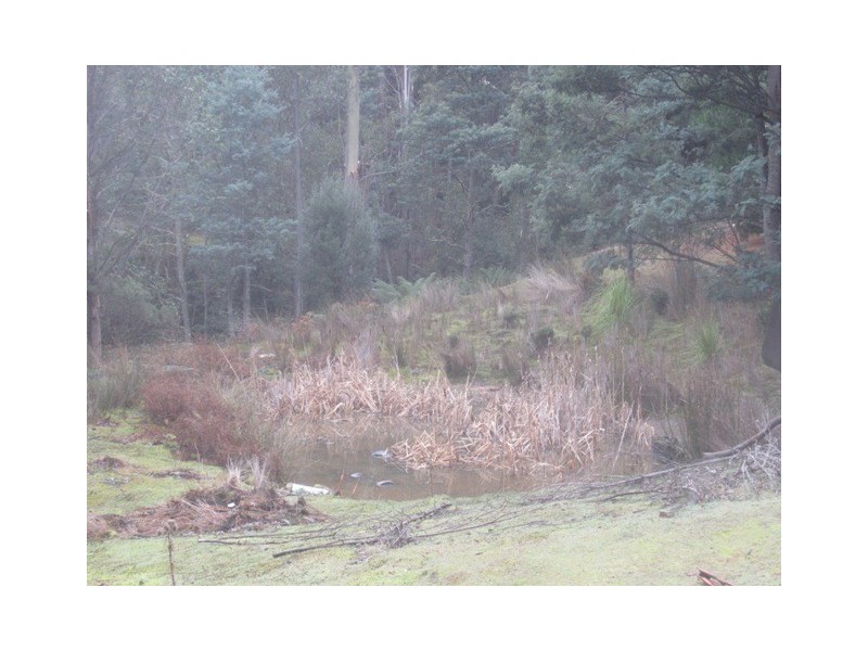 500 Jefferys Track, Lachlan TAS 7140
