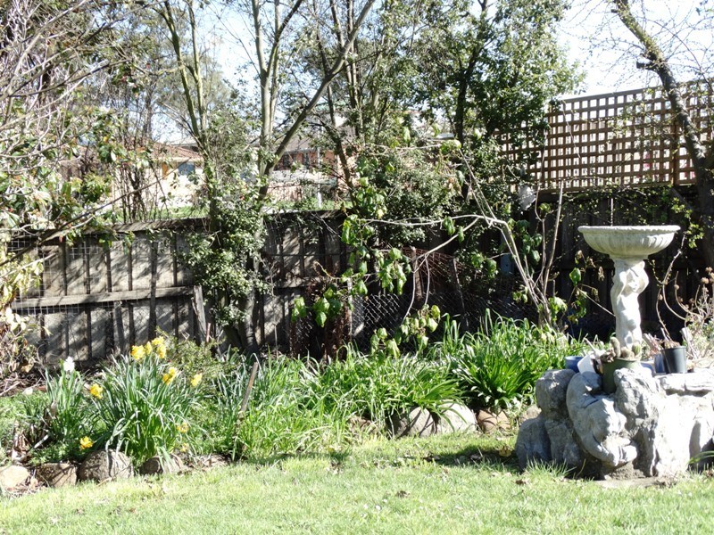 61 Rees Place, New Norfolk TAS 7140
